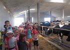 Pieciolatki w gospodarstwie rolnym